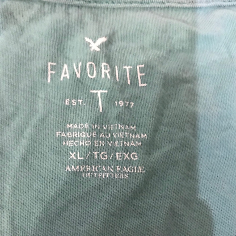 💙 Light Green AE Favorite Tee - Picture 2 of 3